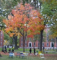 315-0624 Foliage in Harvard Yard.jpg